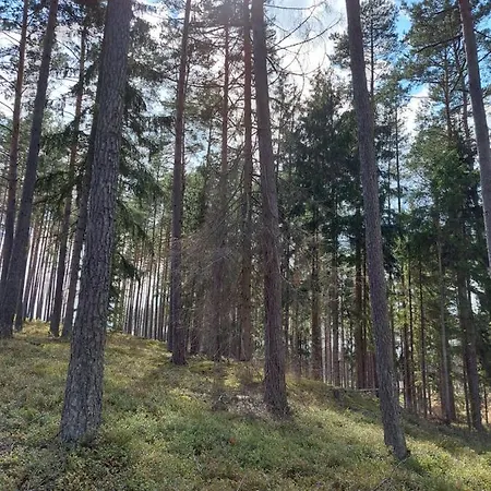 公寓 Sloneczny Zakatek Sominy