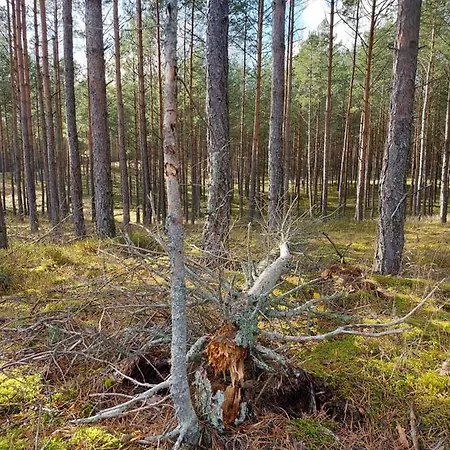 Lägenhet Sloneczny Zakatek *