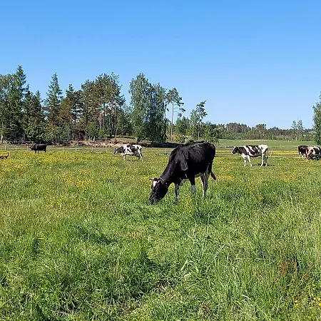 公寓 Sloneczny Zakatek