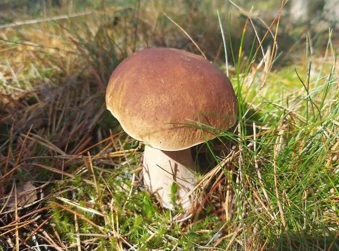 Appartement Sloneczny Zakatek