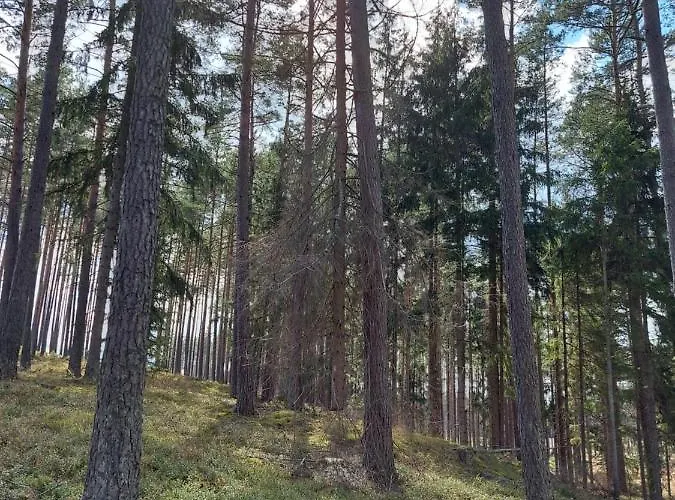 Appartement Sloneczny Zakatek Sominy