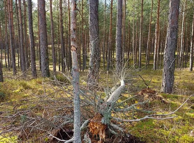Appartement Sloneczny Zakatek *