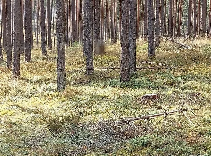 Sloneczny Zakatek Appartement Sominy