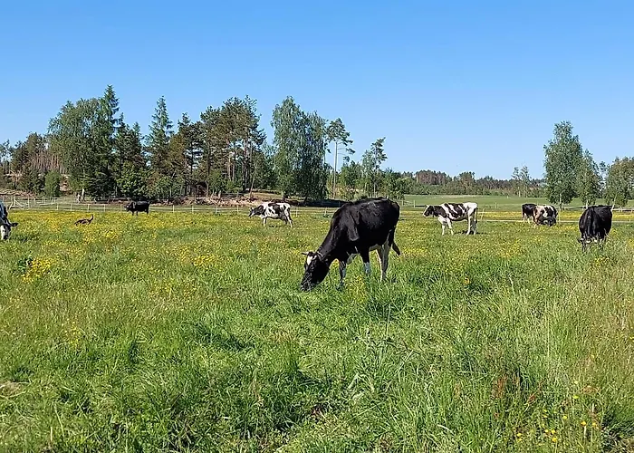 Lägenhet Sloneczny Zakatek